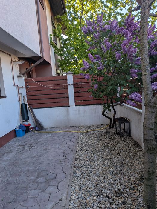 Închiriere casa comuna Berceni