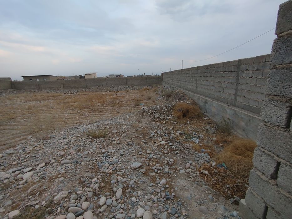 Yer maydoni 10 sotix