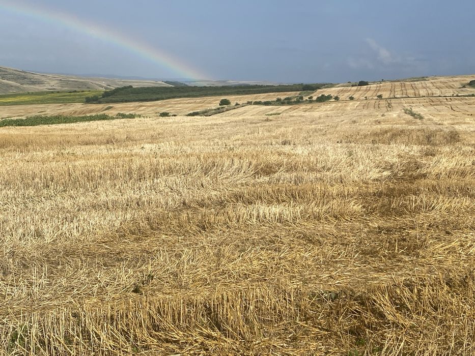 Vand teren extravilan 11600 m2In Cluj Campenesti