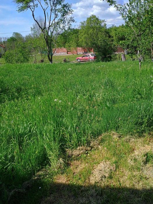 Viile Satu Mare teren inravilan de vânzare / Szatmárhegy, eladó telek