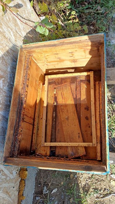 Vand cutii/lazi pentru stupi