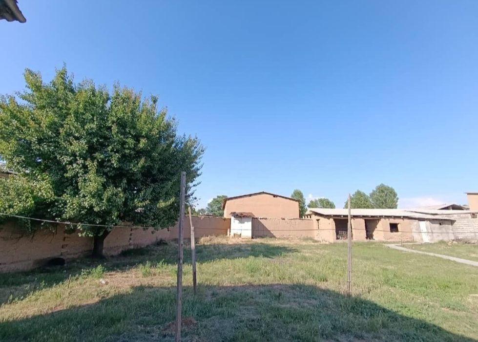 10000 дан сотиши ер нархида