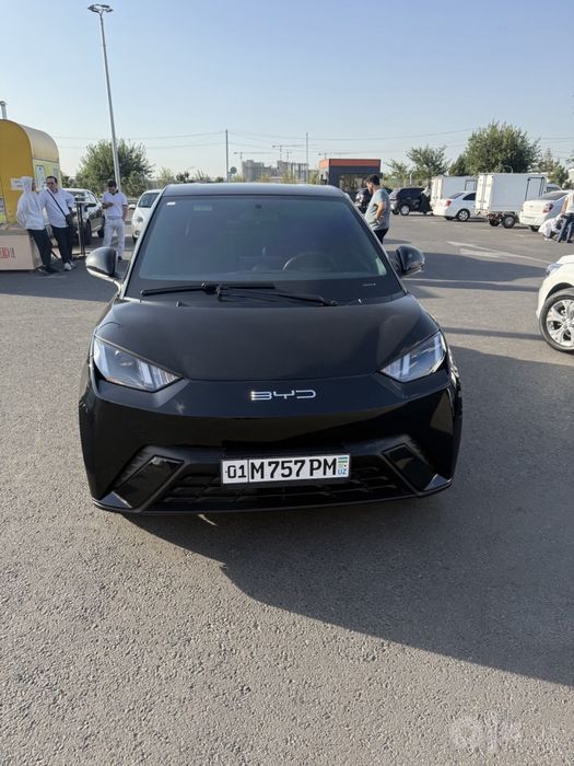 Byd seagull 2024