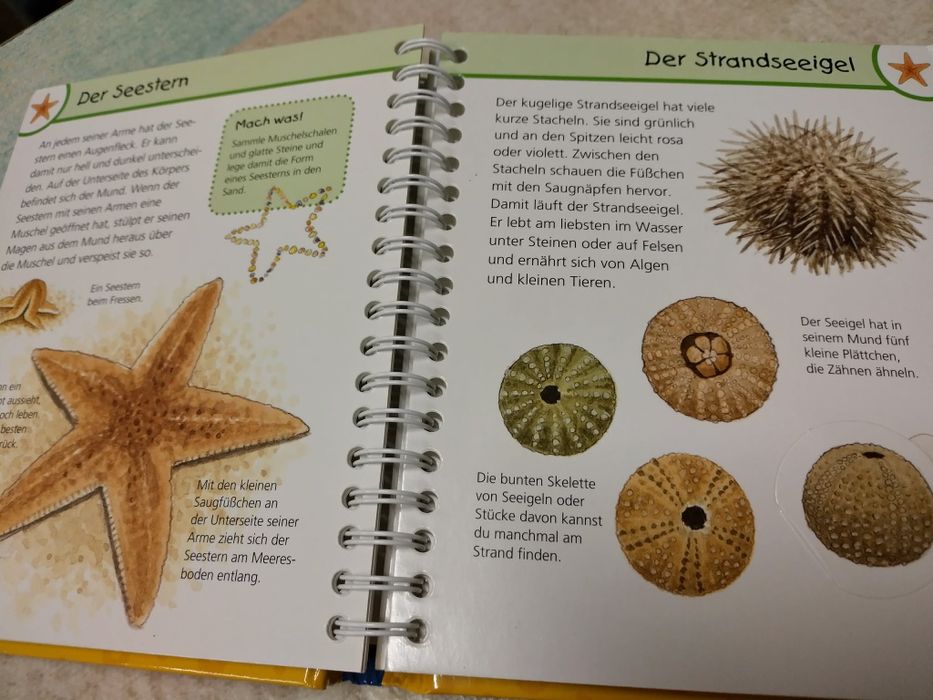 Книга енциклопедия на немски език