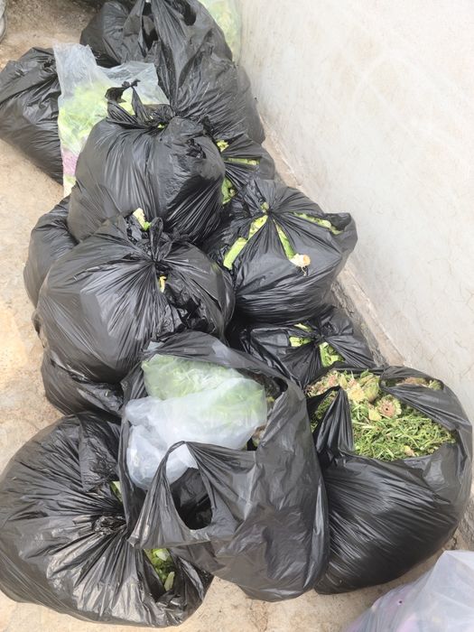 Assallomu alaykum! Har hil turdagi ko'katlar othodi bor