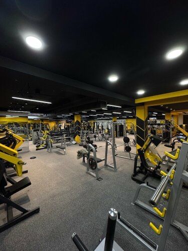 Abonement Zal 1 oylik