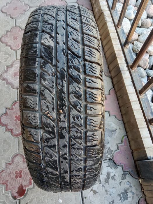 Шины автомобильные