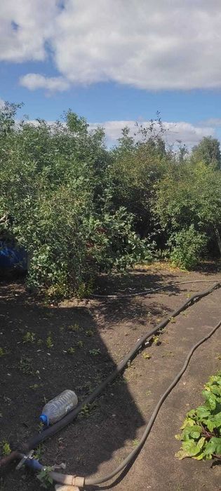 Продам дачу Красный партизан.