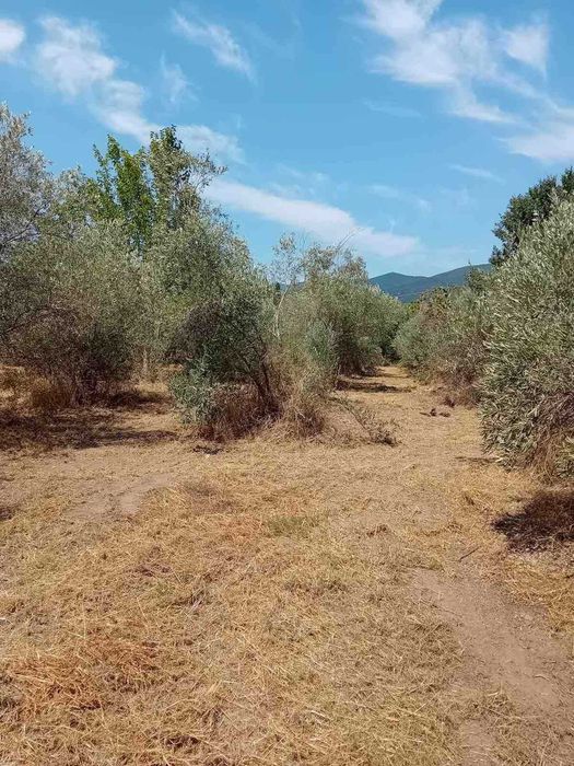 Продава парцел за бизнес с площ 1035м2 в Паралия Врасна,Северна Гърция