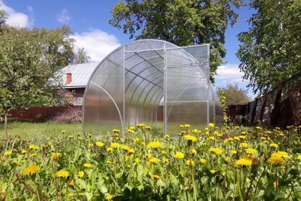 Теплица " Сигма ", РАССРОЧКА, СКИДКИ, установка