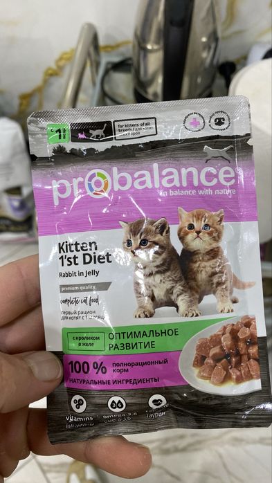 Veterinariya xizmati – It va mushuklar uchun tezkor yordam!
