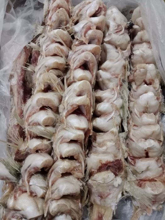 Рыбные изделия фарш филе рыба