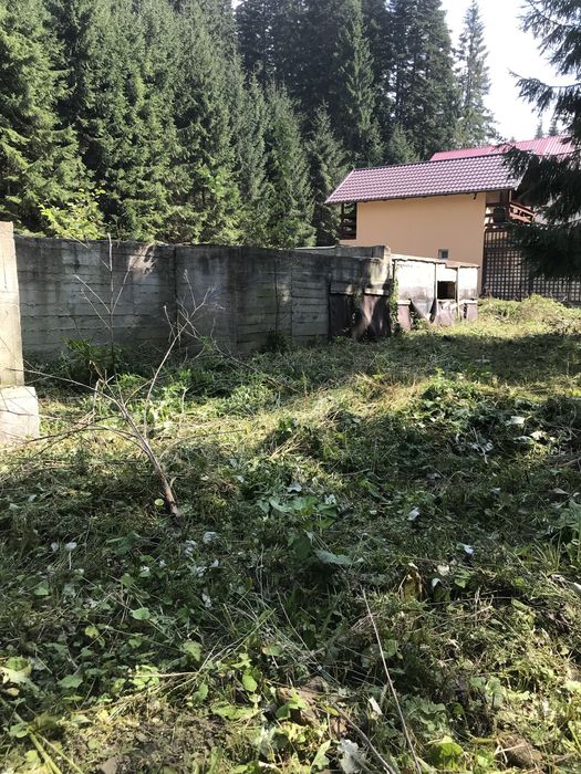 Teren de vanzare Sucevita
