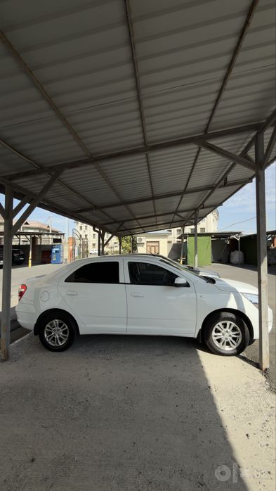 Kobalt 2023 AT haydashga tayyor
