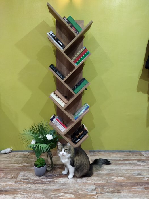 #Библиотека#Етажерка#Полица#Рафт