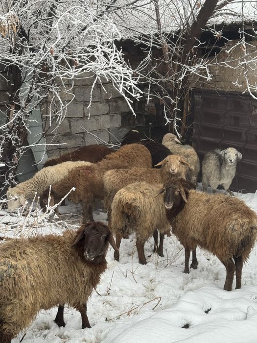 Сатылады срочно!