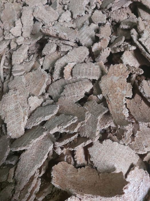 Пшеница.Платный чат! Все корма.