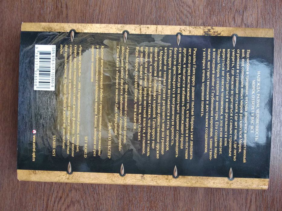 Фэнтези. Черные крылья