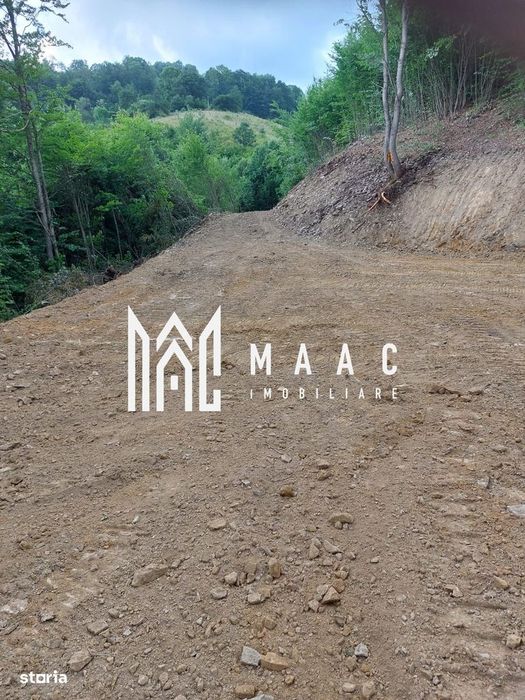 5000 teren in Muntii Apuseni I Pregatit pentru constructie