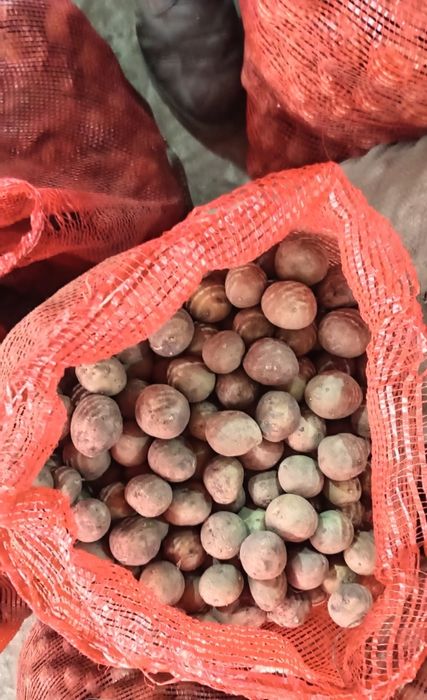 Впродаже картошка