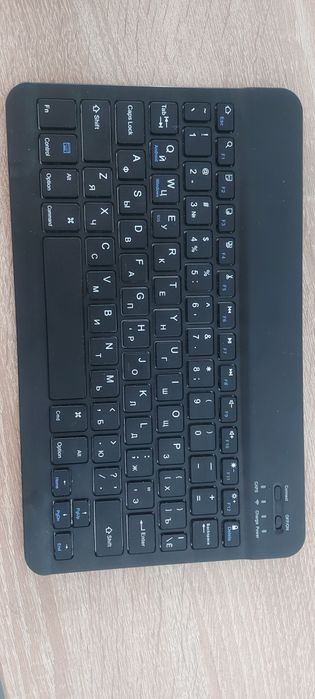 Sichqoncha va karikatura