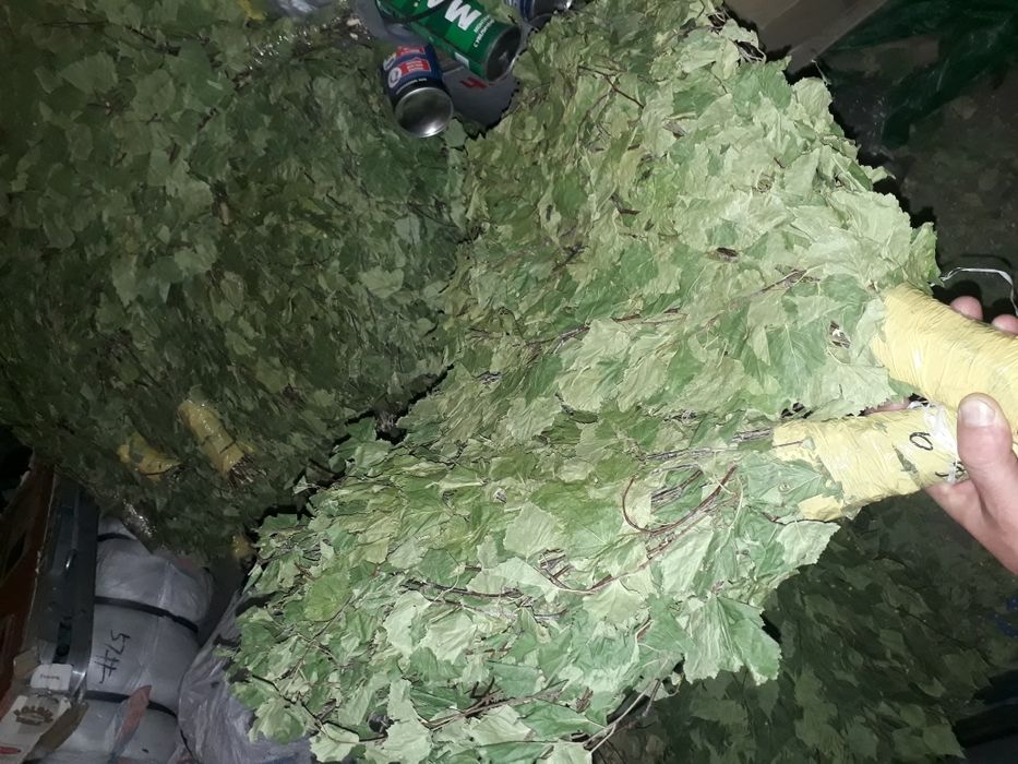 Веники березовые