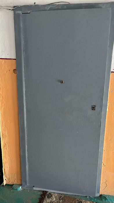 Дверь входной железный