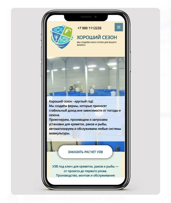 Разработка сайта