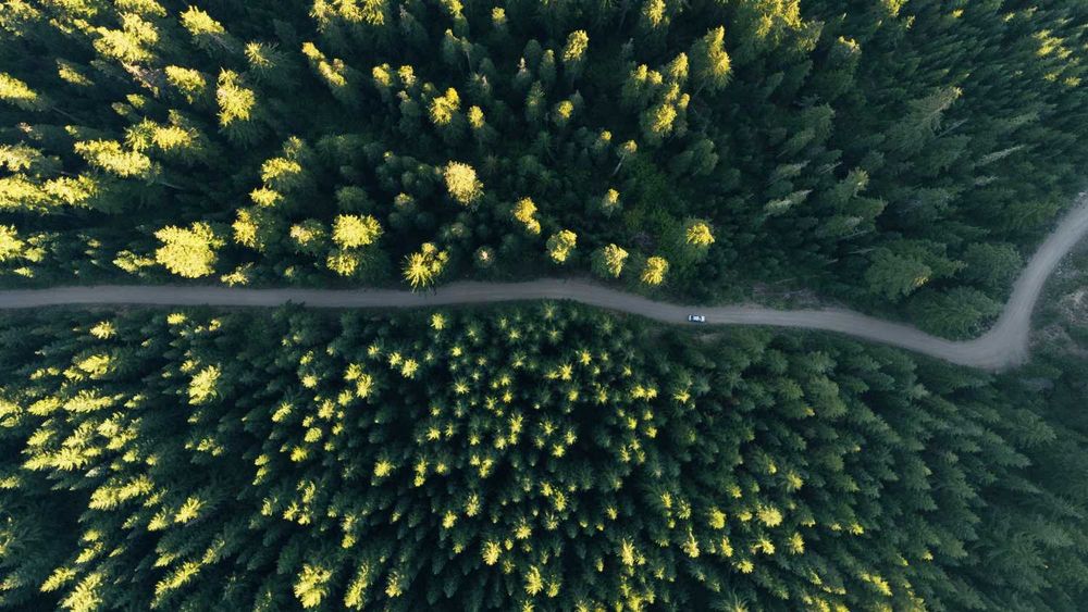 Foto-video aerian cu dronă profesională pentru afacerea ta