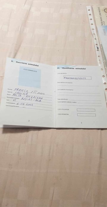 Akita American Pedigree