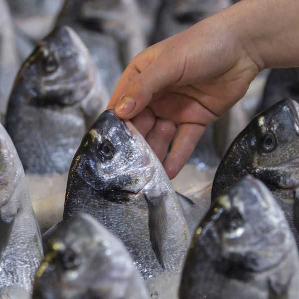 ТЕРМОДАТЧИК логер для ОВОЩЕЙ И ФРУКТОВ по евро стандартам