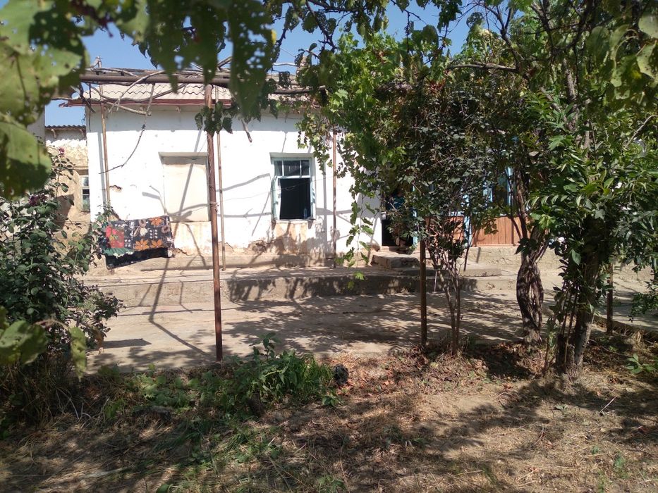 17 sotix barcha qulayliklarga ega xovli sotiladi