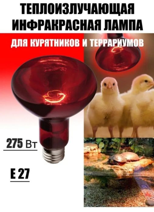 Инфракрасная лампочка / Лампа инфракрасная /