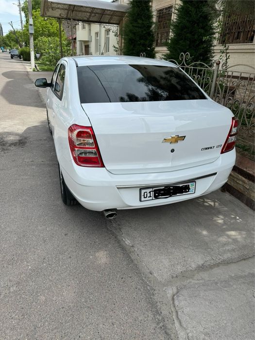 Cobalt GX-Style AT-Plus fulli