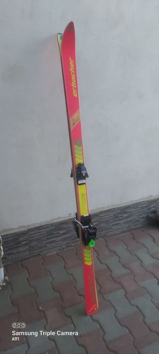 Schiuri din Germania