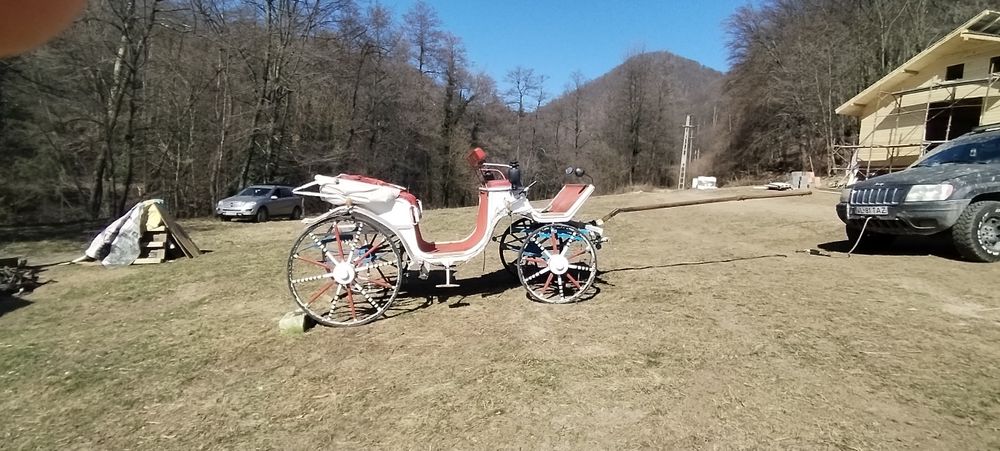 Vând trăsură fabricata în Ungaria