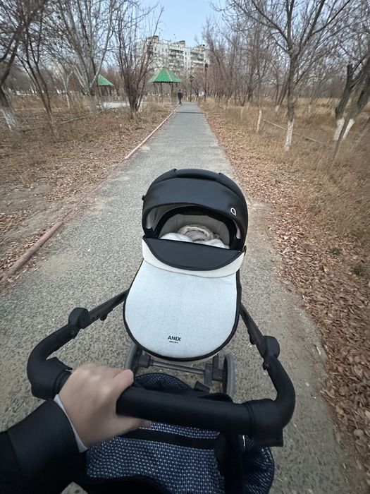 Коляска Anex Eli 2в1