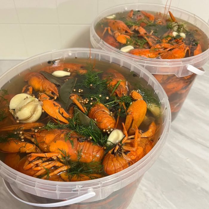 Лучшие цены на раков в Алматы