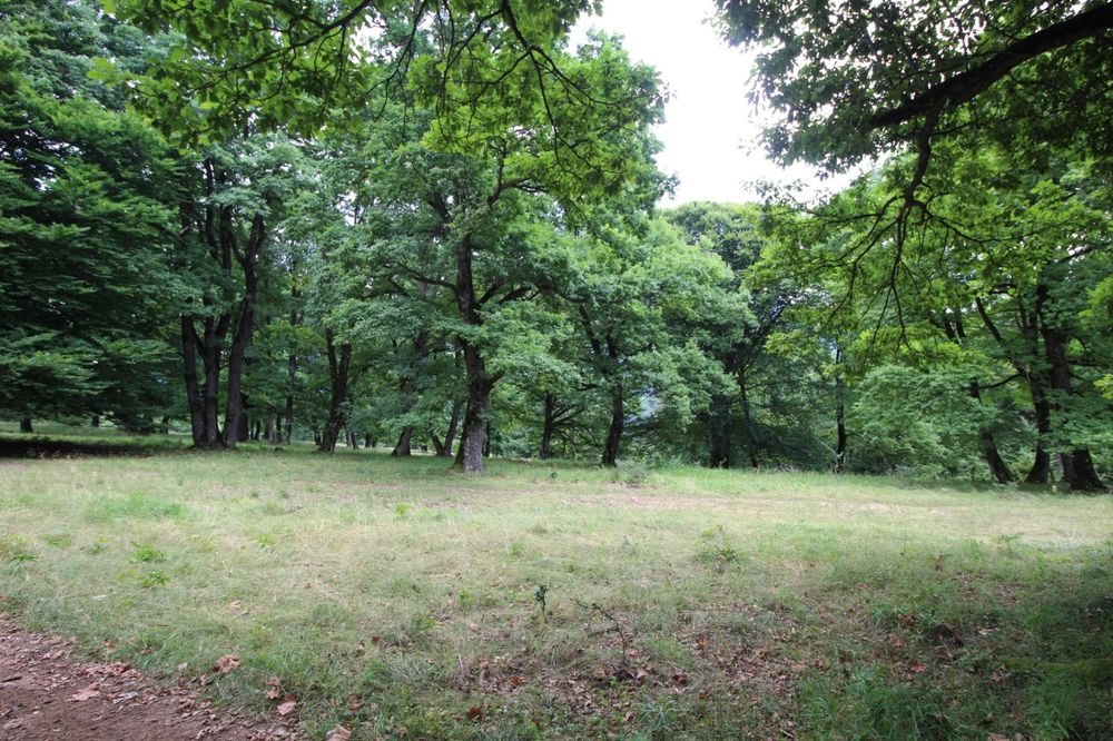 Teren Poiana Brașov 4713 mp-Zona de investiție  teren lângă Sergiana