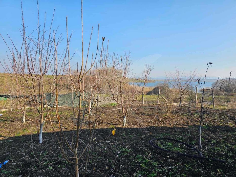 Парцел  УПИ с лице на път в Меден Рудник 73828