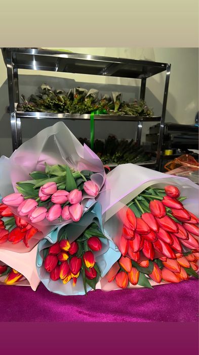 Тюльпаны оптом крупные