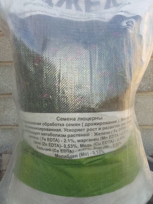 Семена люцерна Джеа