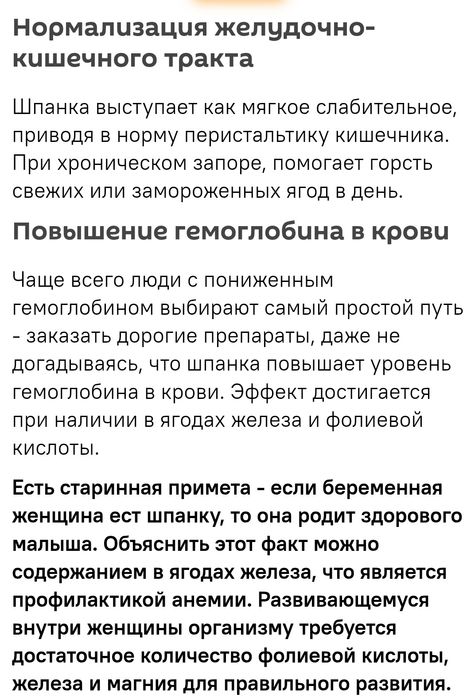Вишня шпанка крупный