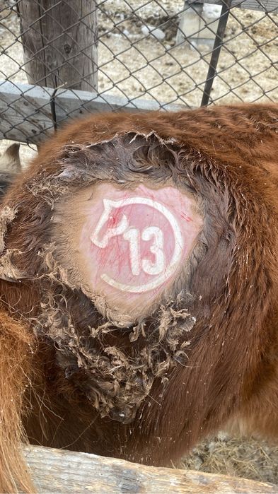 Табро танба клемо цифры и буквы 4000 Изготовим табро под ваш дизайн