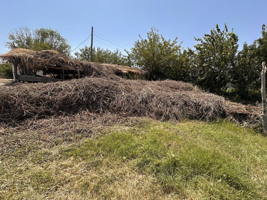 G’oza poya sotiladi