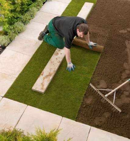 Рулонный газон и семена. Газон экамиз 1-кунда