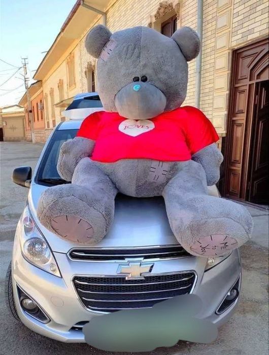 Teddy+teddy+Dastavka+Magazin