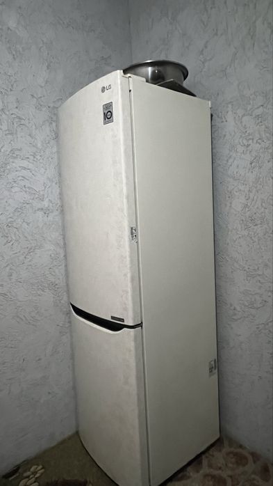 LG GA-B419SEJL. Двухкамерный