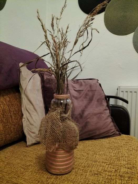 Vaze decorative 35 lei