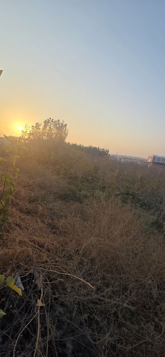 10 sotix  tomorqa  sotiladi